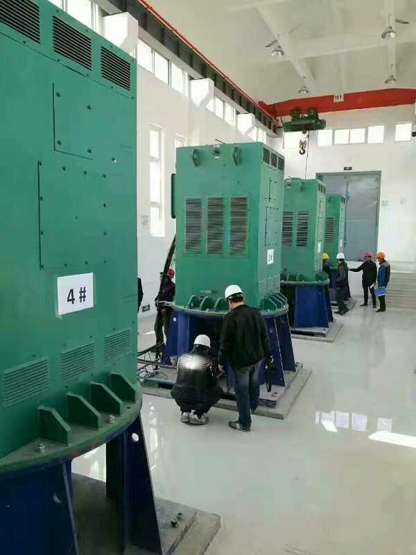 咸丰某污水处理厂使用我厂的立式高压电机安装现场