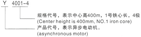 西安泰富西玛Y系列(H355-1000)高压咸丰三相异步电机型号说明