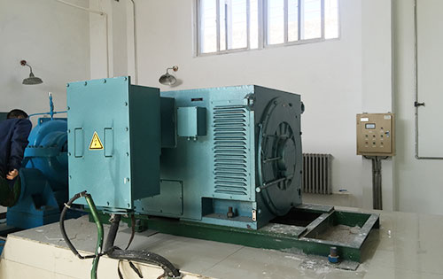 咸丰某水电站工程主水泵使用我公司高压电机品质保证
